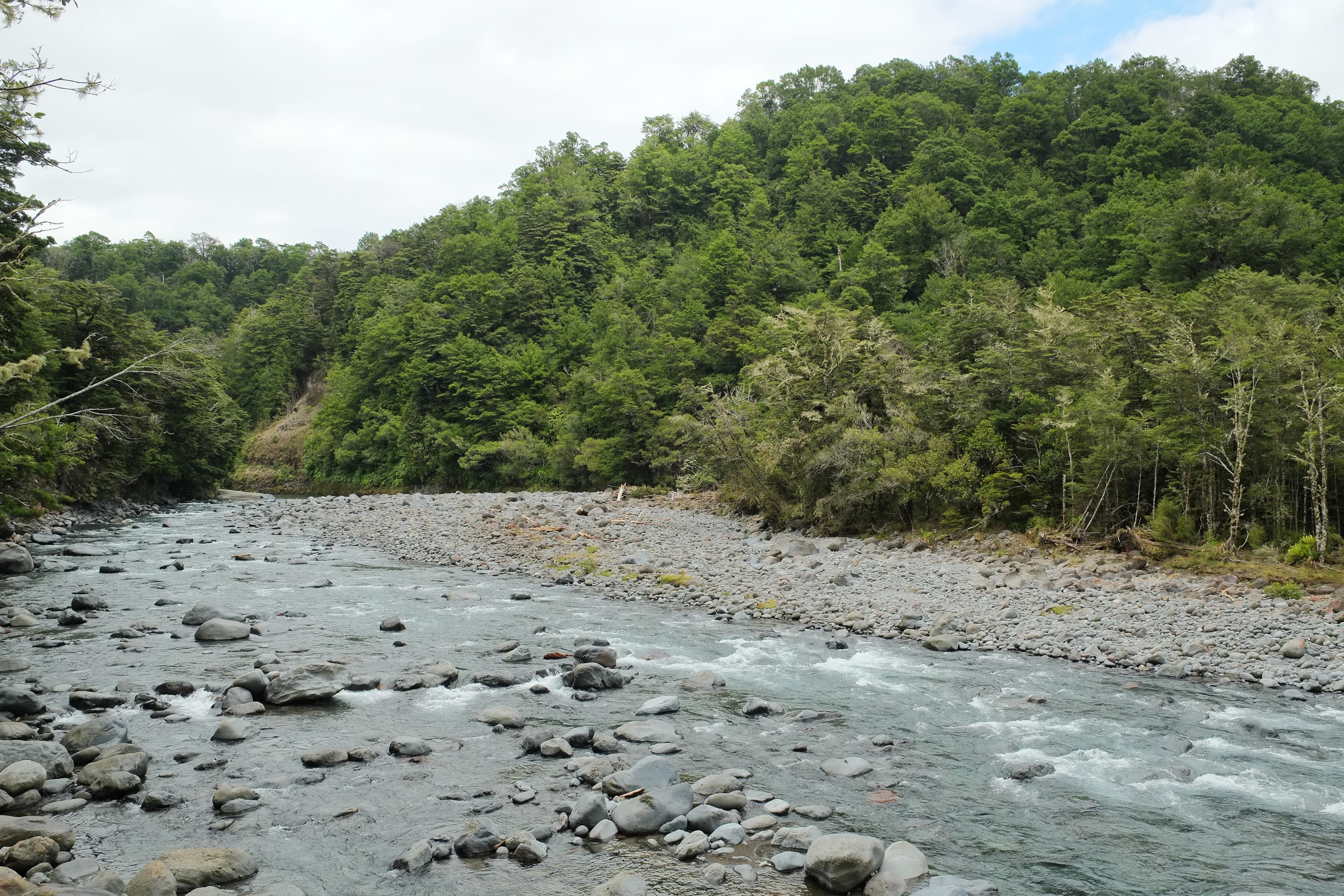 The Tongariro River at dawn