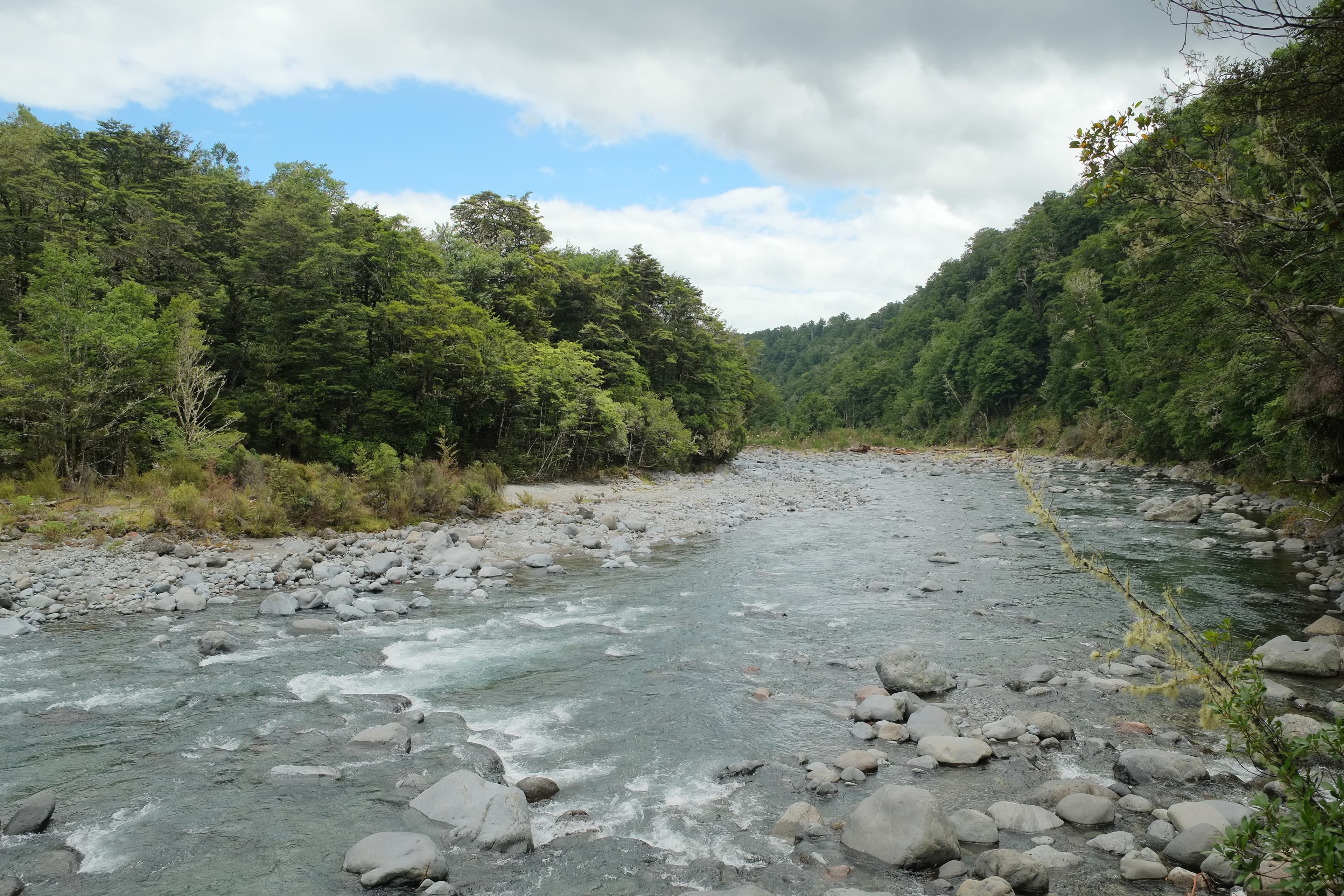 Fly fishing on the Tongariro River